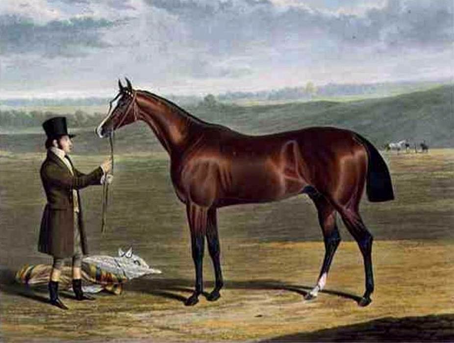 'Mameluke', the Winner of the Derby Stakes at Epsom, 1827 by HERRING, John Frederick the Elder