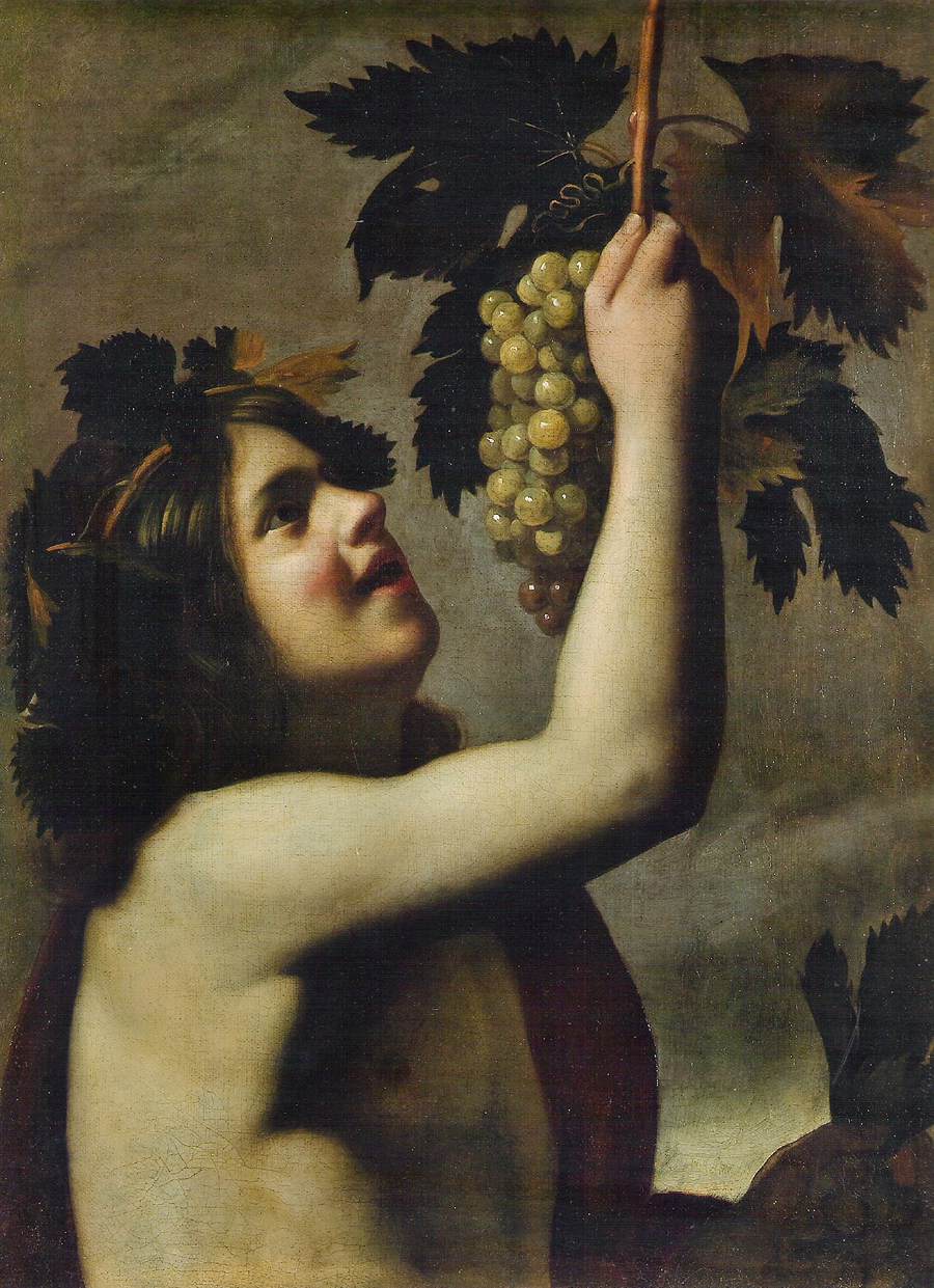 The Young Bacchus by SALINI, Tommaso