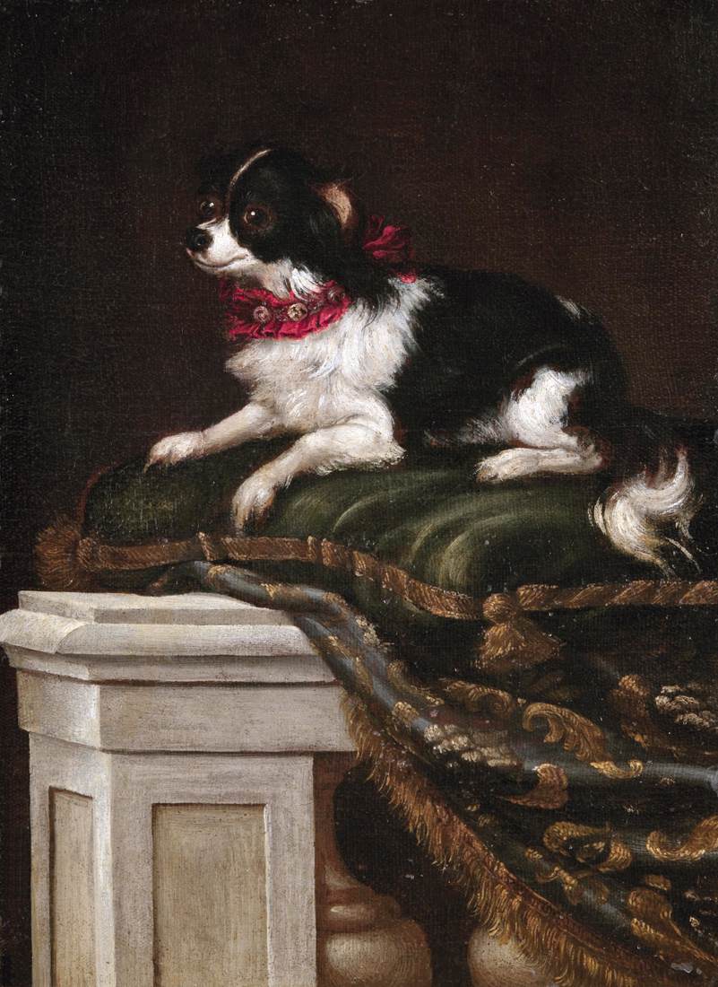 A Spaniel on a Cushion by