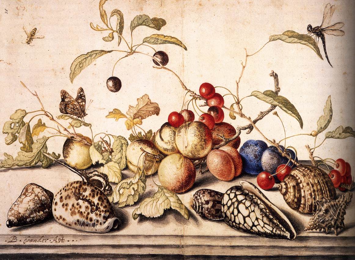 Still-Life with Plums, Cherries, and Shells by AST, Balthasar van der