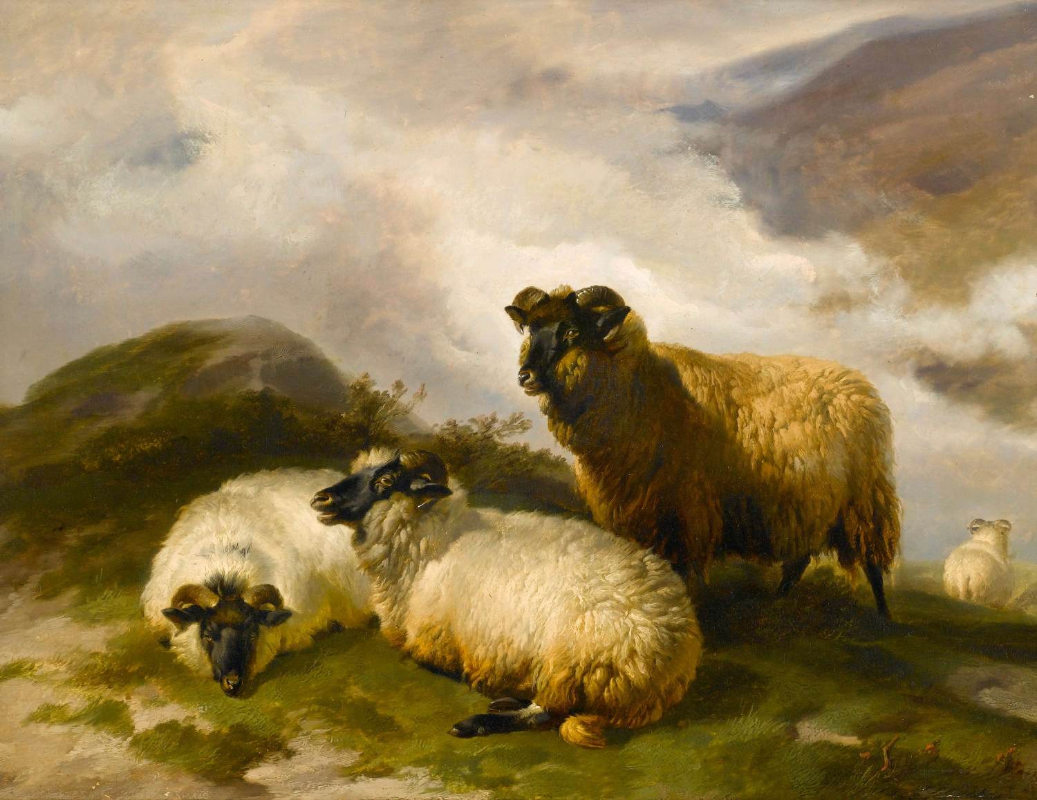 Mountain Sheep by COOPER, Thomas Sidney