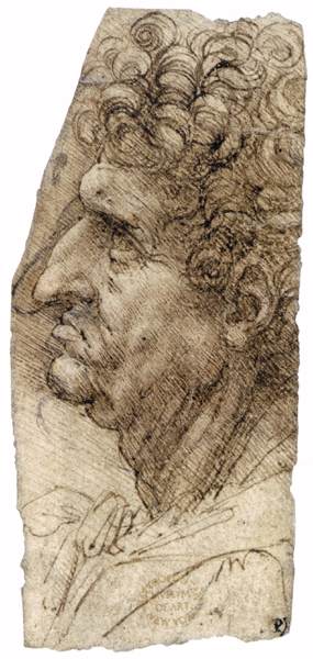 Head of a Man Facing to the Left by