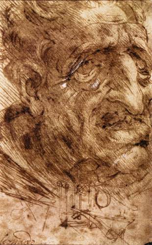 Head of an Old Man by LEONARDO da Vinci