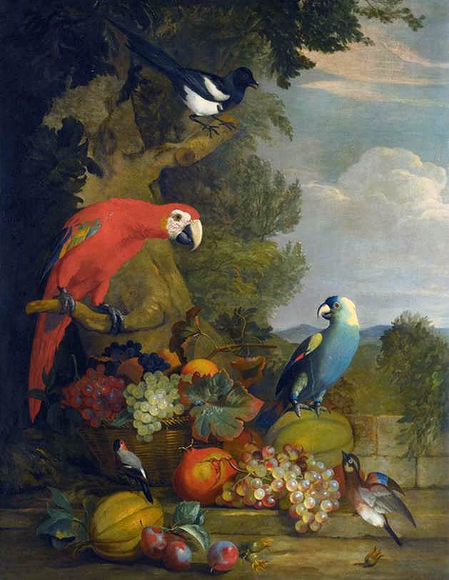 Birds by STRANOVER, Tobias