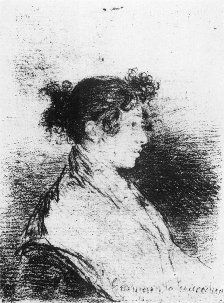 Gumersinda Goicoechea, Goya's Daughter-in-Law by GOYA Y LUCIENTES, Francisco de