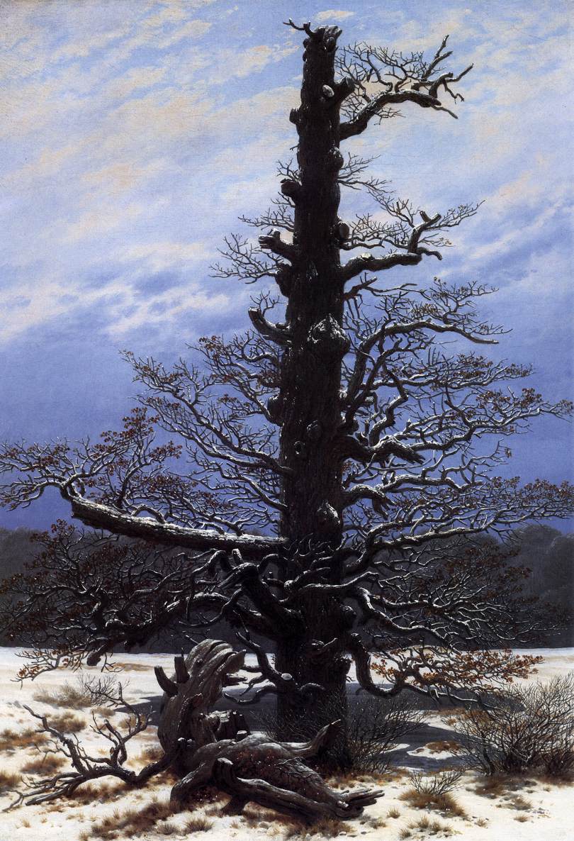 The Oaktree in the Snow by FRIEDRICH, Caspar David