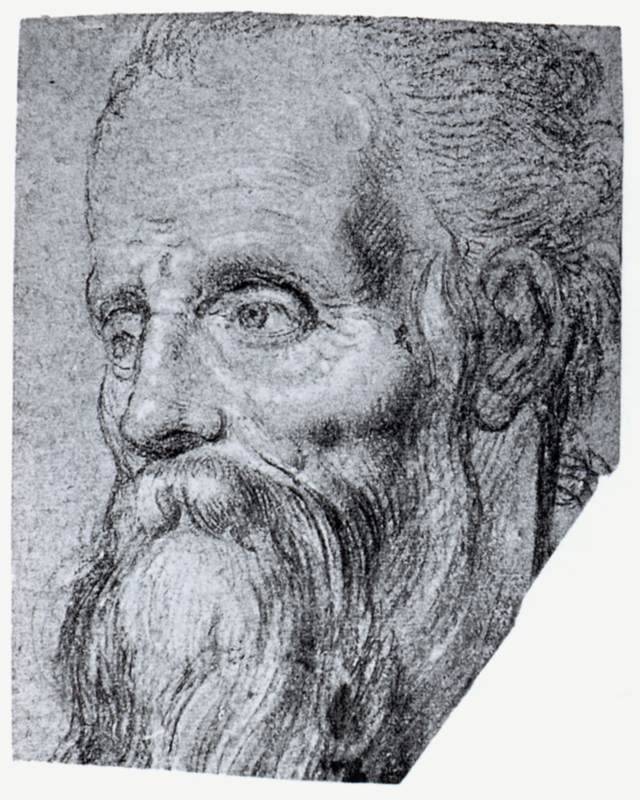 Head of an Old Bearded Man by