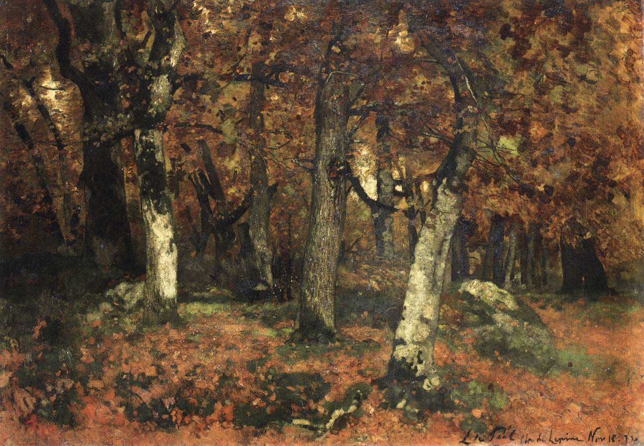 The Depth of the Forest by PAÁL, László