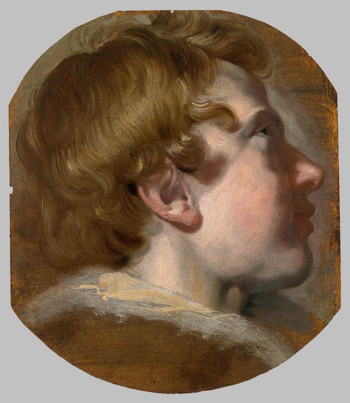 Study of a Boy's Head by MOL, Pieter van