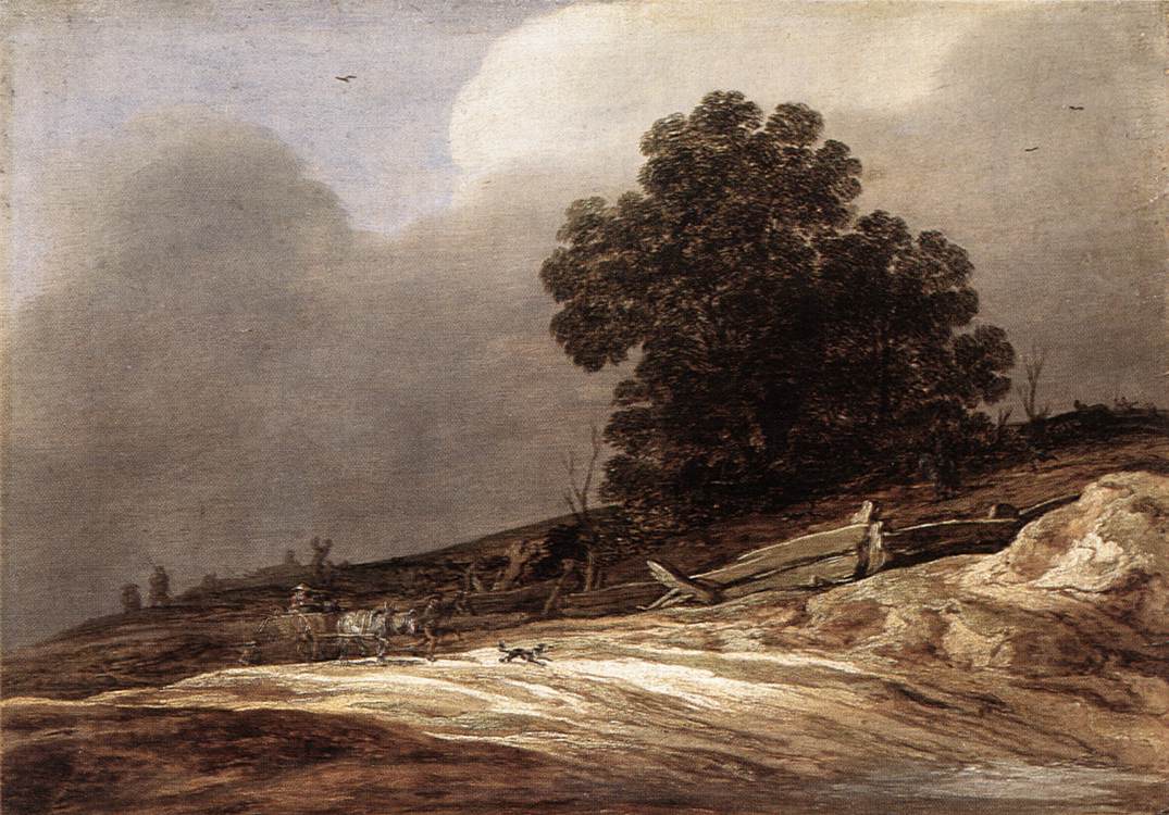 Dunes by MOLYN, Pieter de