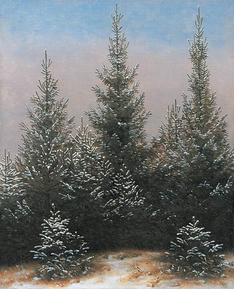 Fir Trees in the Snow by