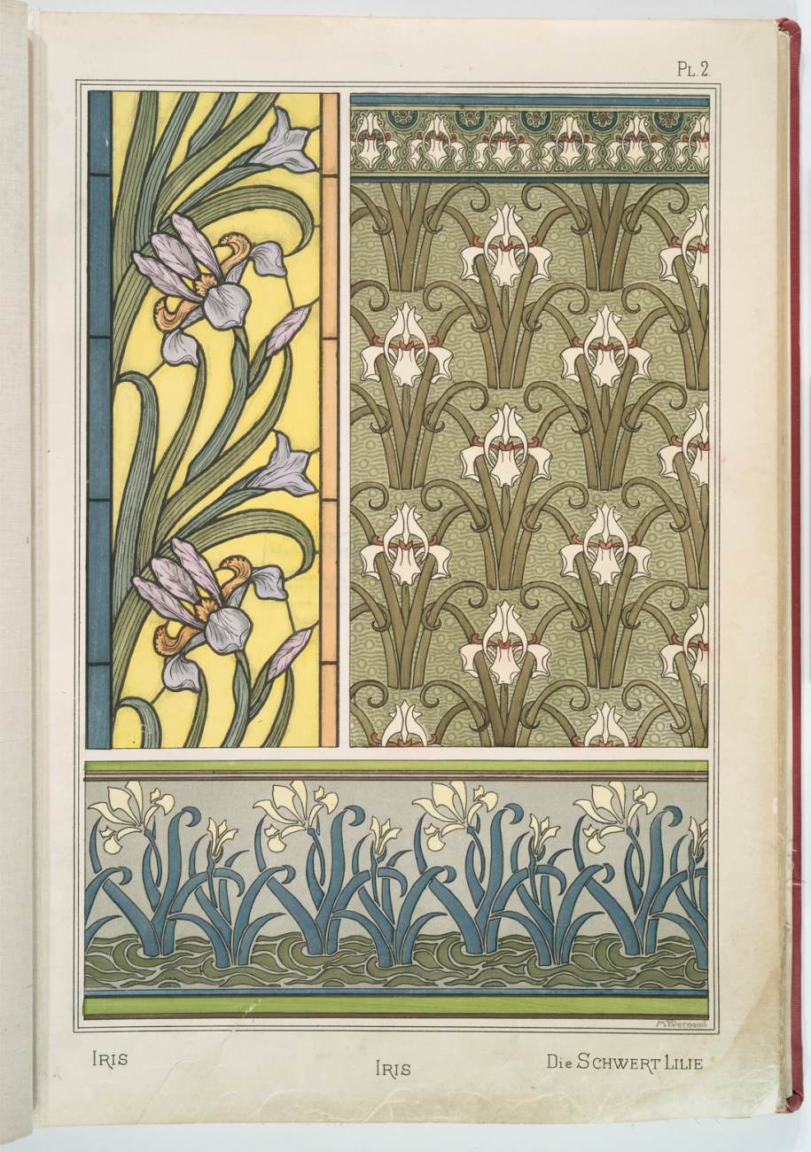 La plante et ses applications ornementales: Iris by GRASSET, Eugène-Samuel