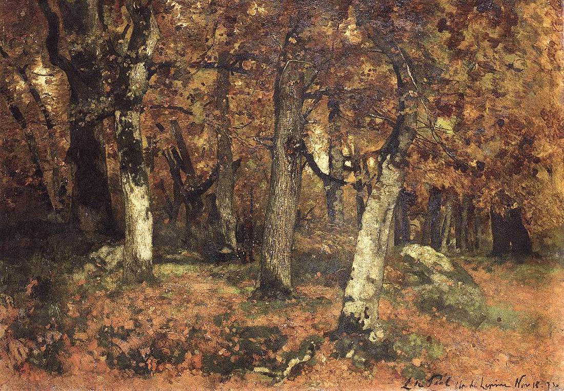 The Depth of the Forest by PAÁL, László