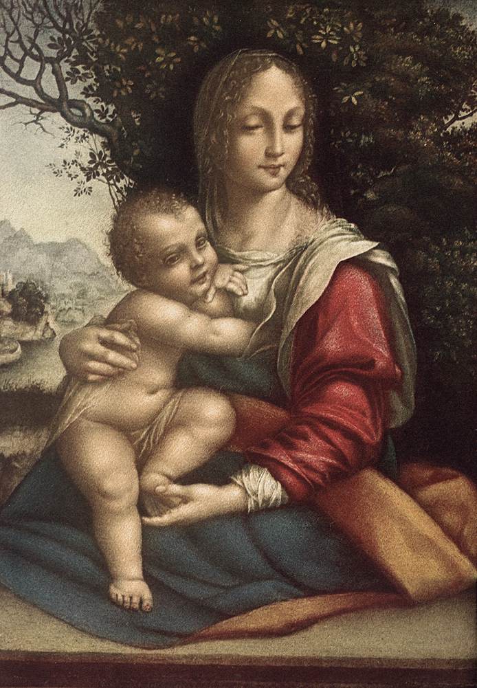 Madonna and Child by CESARE da Sesto