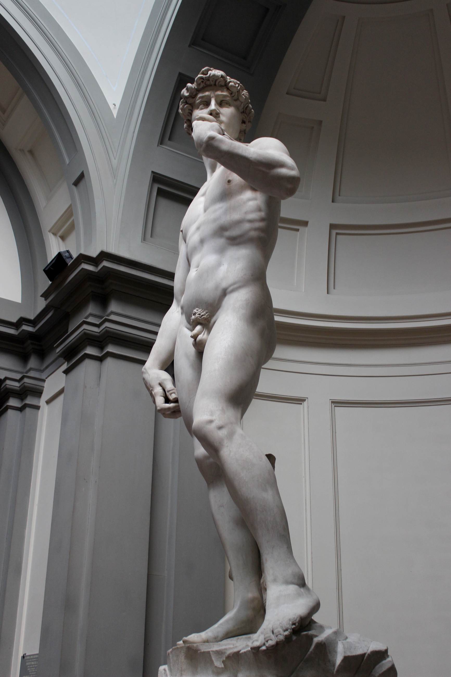 David by MICHELANGELO Buonarroti