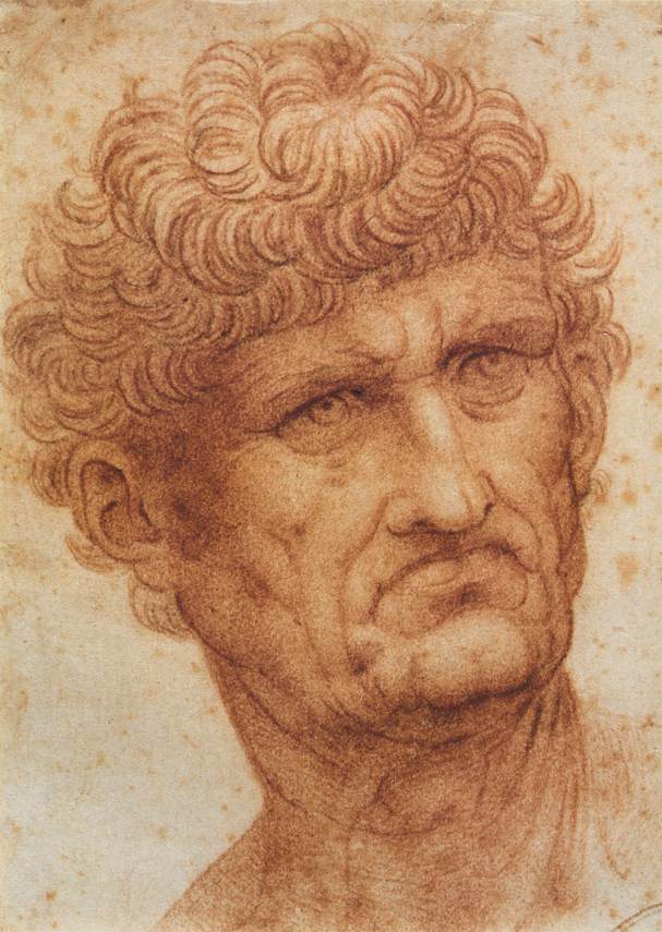 Head of a Man by LEONARDO da Vinci