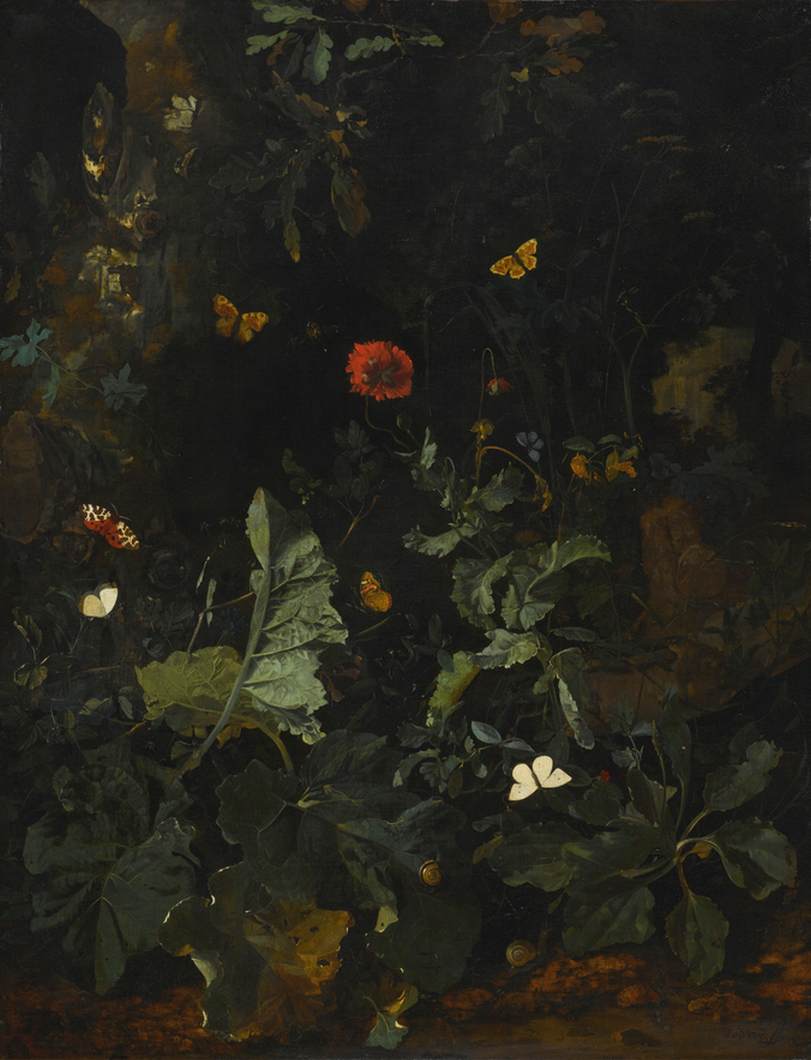 Forest Floor Still-Life with Flowering Plants and Butterflies by VREE, Nicolaes de