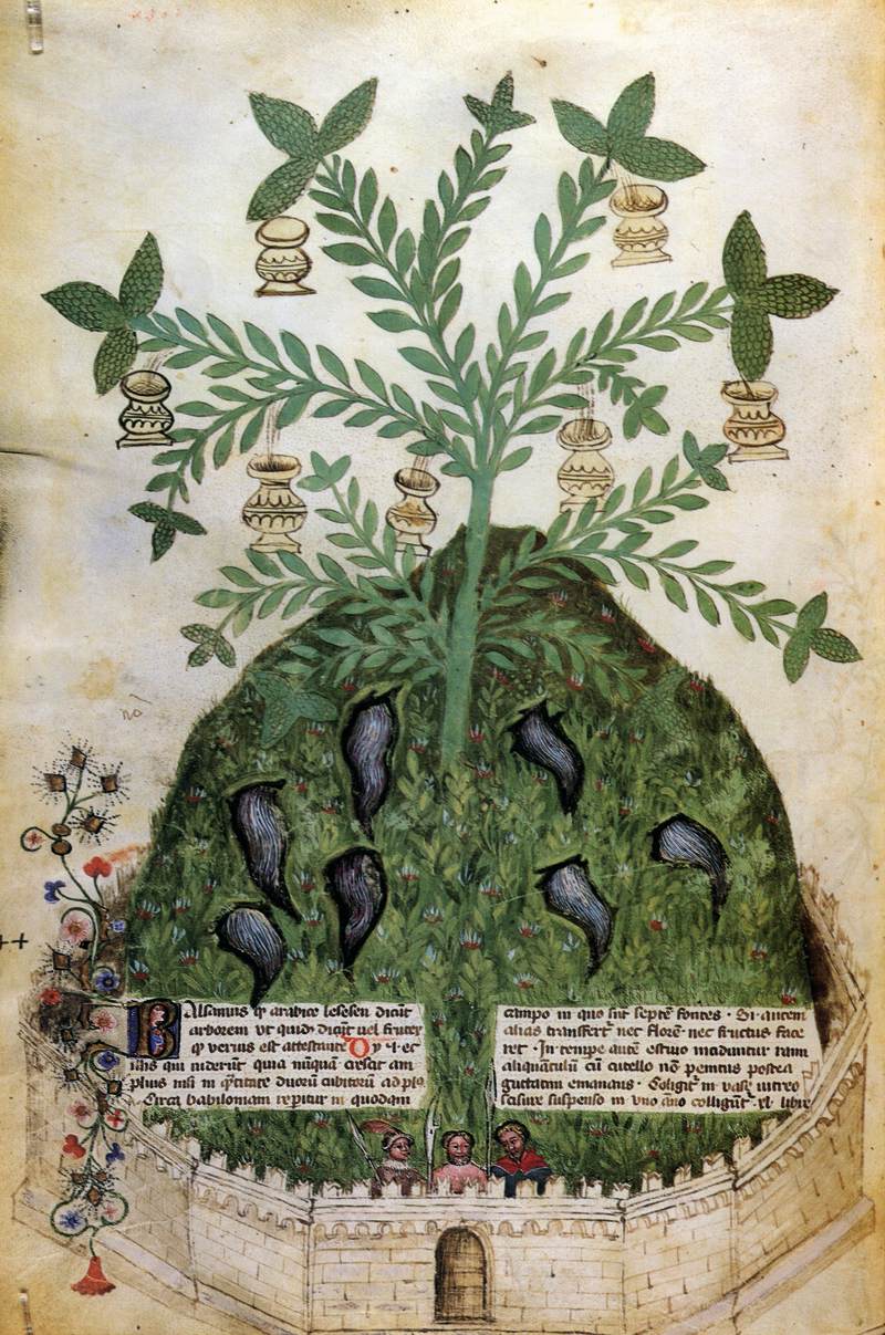 Tacuinum Sanitatis by GRASSI, Giovannino de'