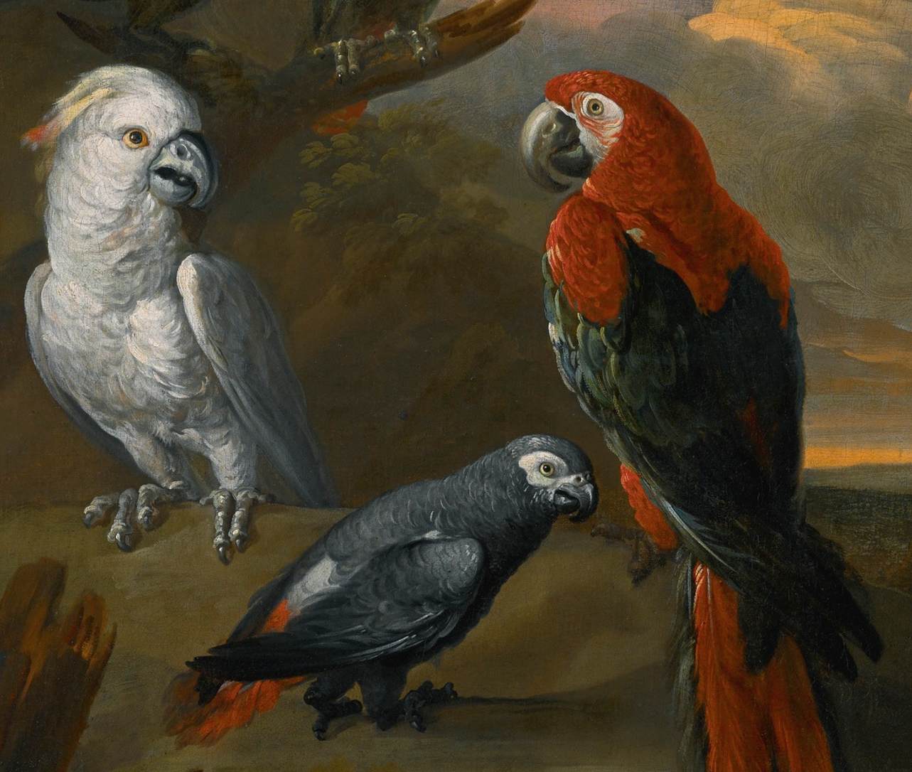 Parrots in an Extensive Woodland Landscape (detail) by STRANOVER, Tobias