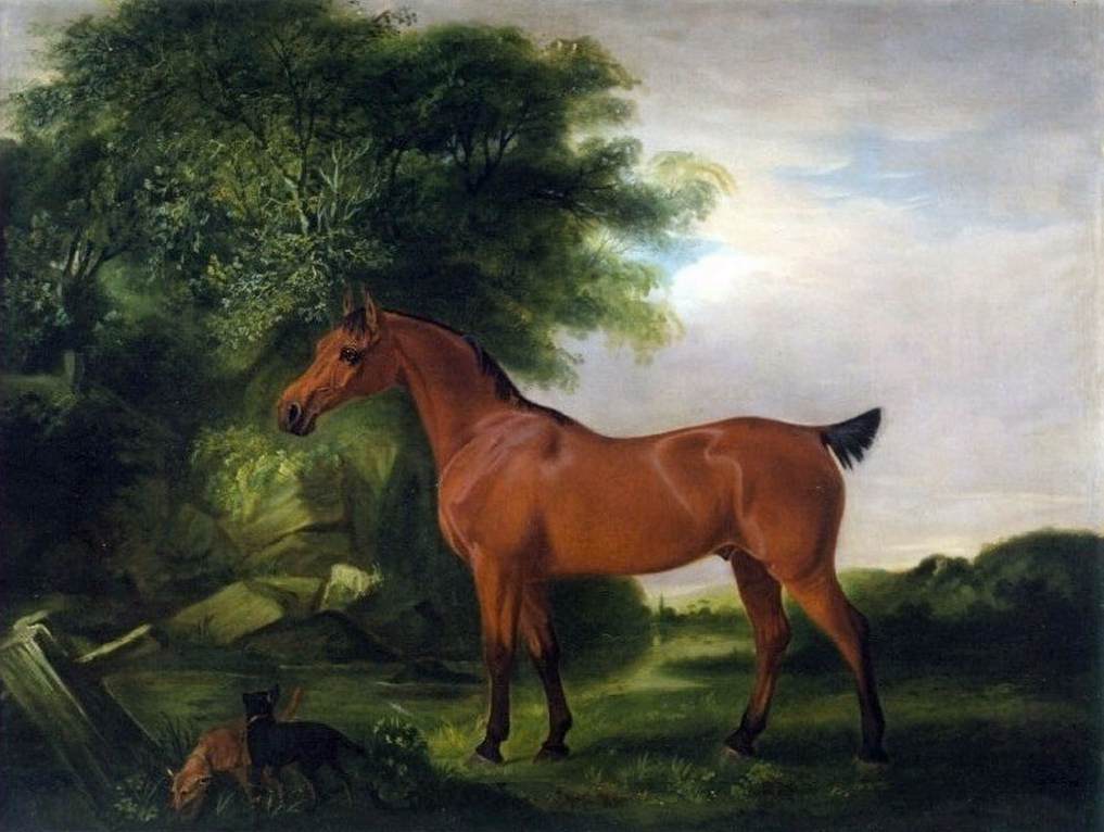 An Egyptian Pony by FERNELEY, John