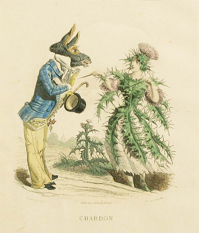 Thistle by GRANDVILLE, Jean-Jacques