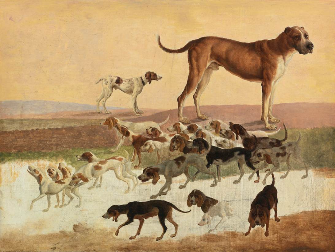 Study of Dogs by AGASSE, Jacques-Laurent