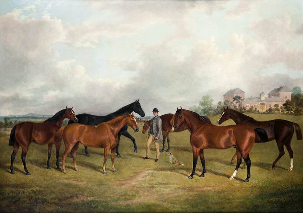 Hunters and Groom in a Paddock by