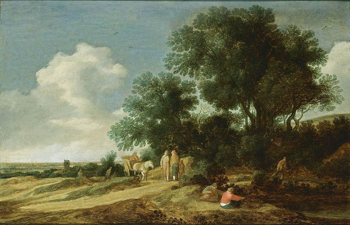 An Extensive Dune Landscape by MOLYN, Pieter de