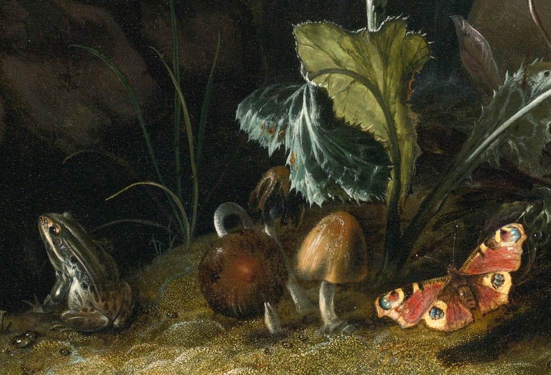 Nocturnal Forest Floor Still-Life (detail) by MARSEUS VAN SCHRIECK, Otto