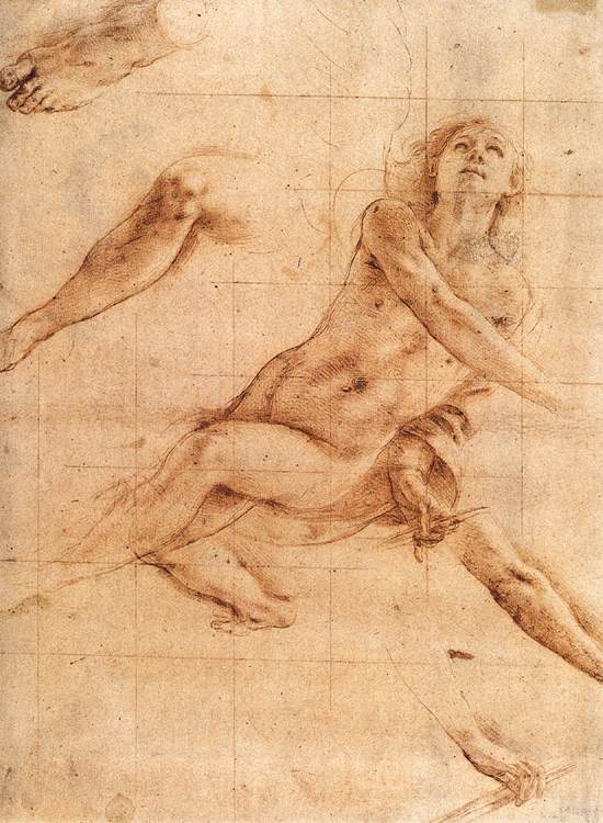 Study for an Angel by TANZIO DA VARALLO