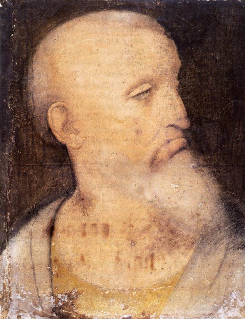 Head of St Andrew by LEONARDO da Vinci