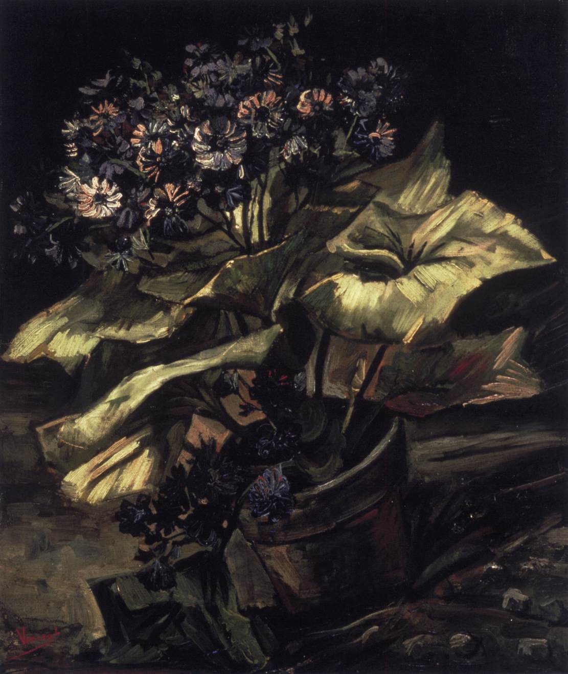 Cineraria in a Flowerpot by GOGH, Vincent van