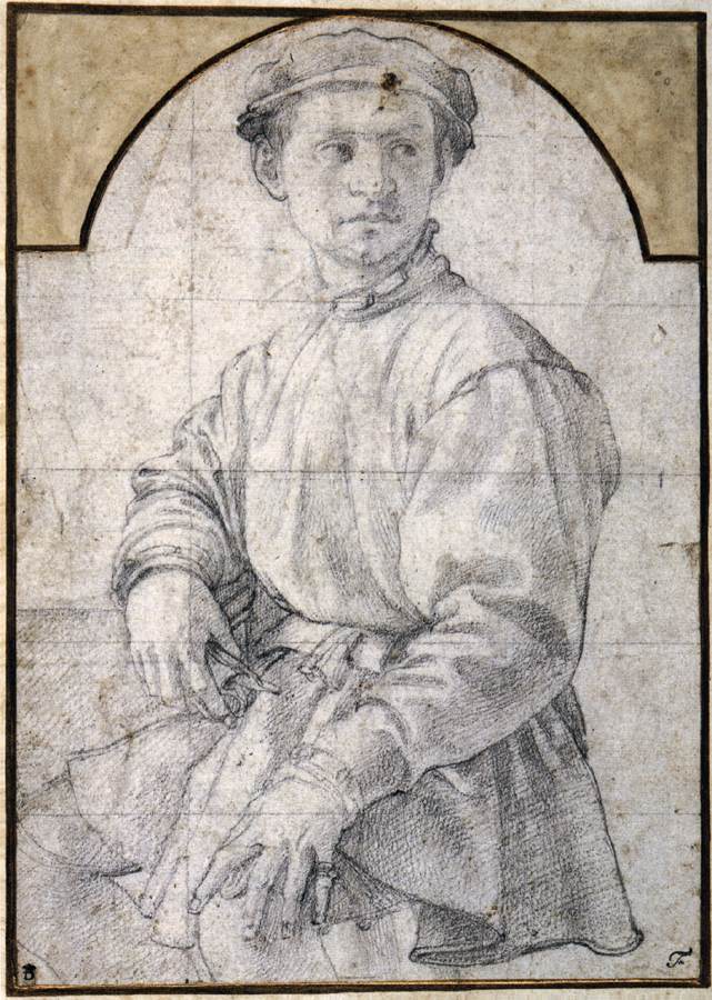 Study of a Young Man with a Lute by BRONZINO, Agnolo