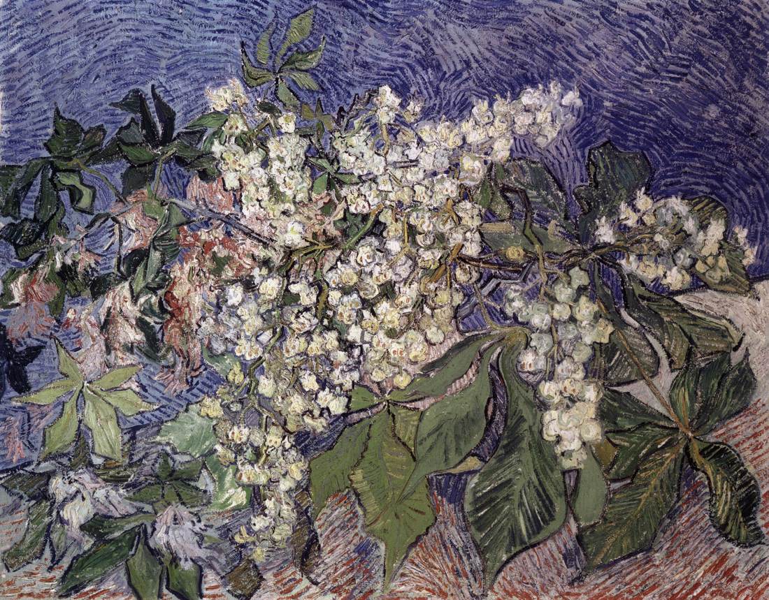 Blossoming Chestnut Branches in a Vase by GOGH, Vincent van