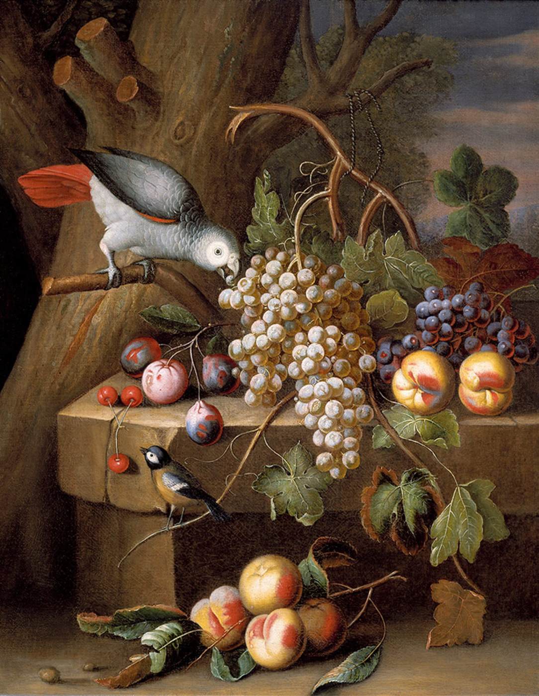 Still-Life with Fruit and Birds by STRANOVER, Tobias