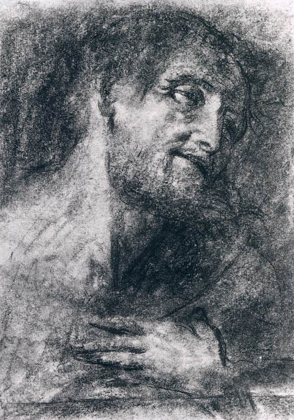 Head of a Bearded Man by SAVOLDO, Giovanni Girolamo