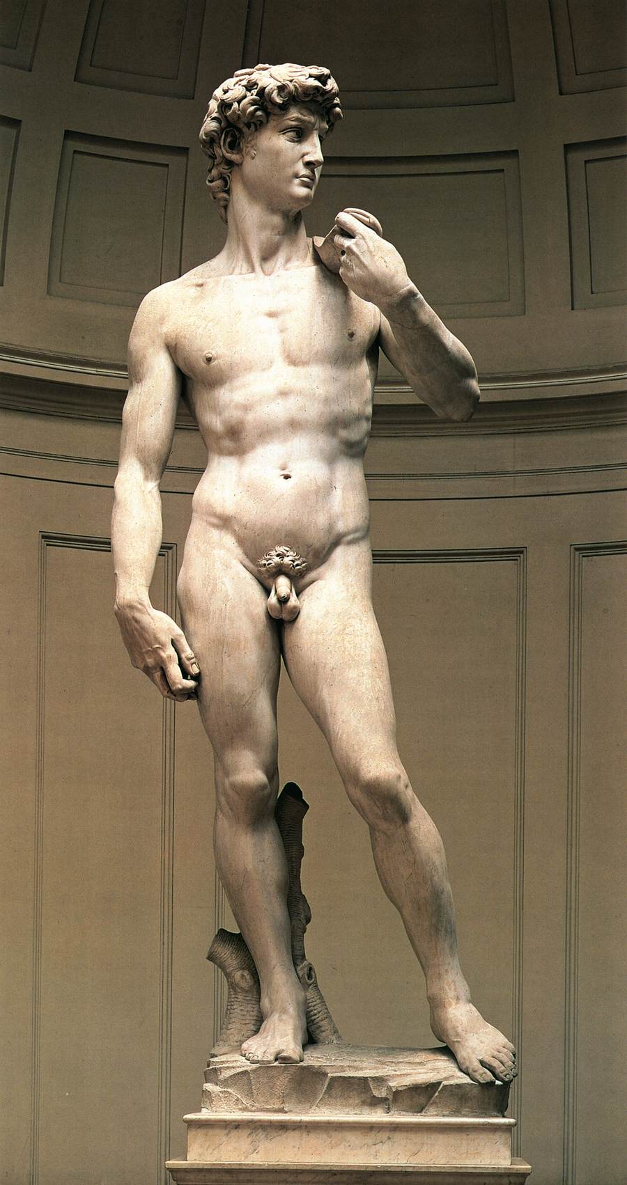 David by MICHELANGELO Buonarroti