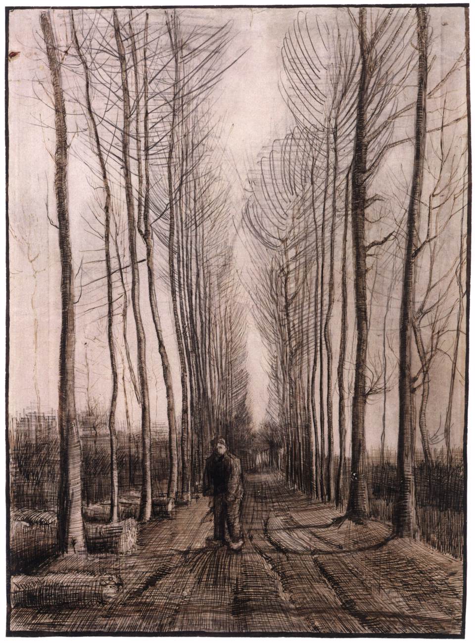 Avenue of Poplars by