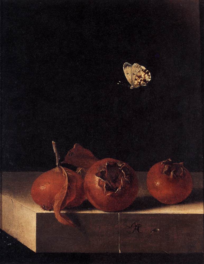 Three Medlars with a Butterfly by COORTE, Adriaen