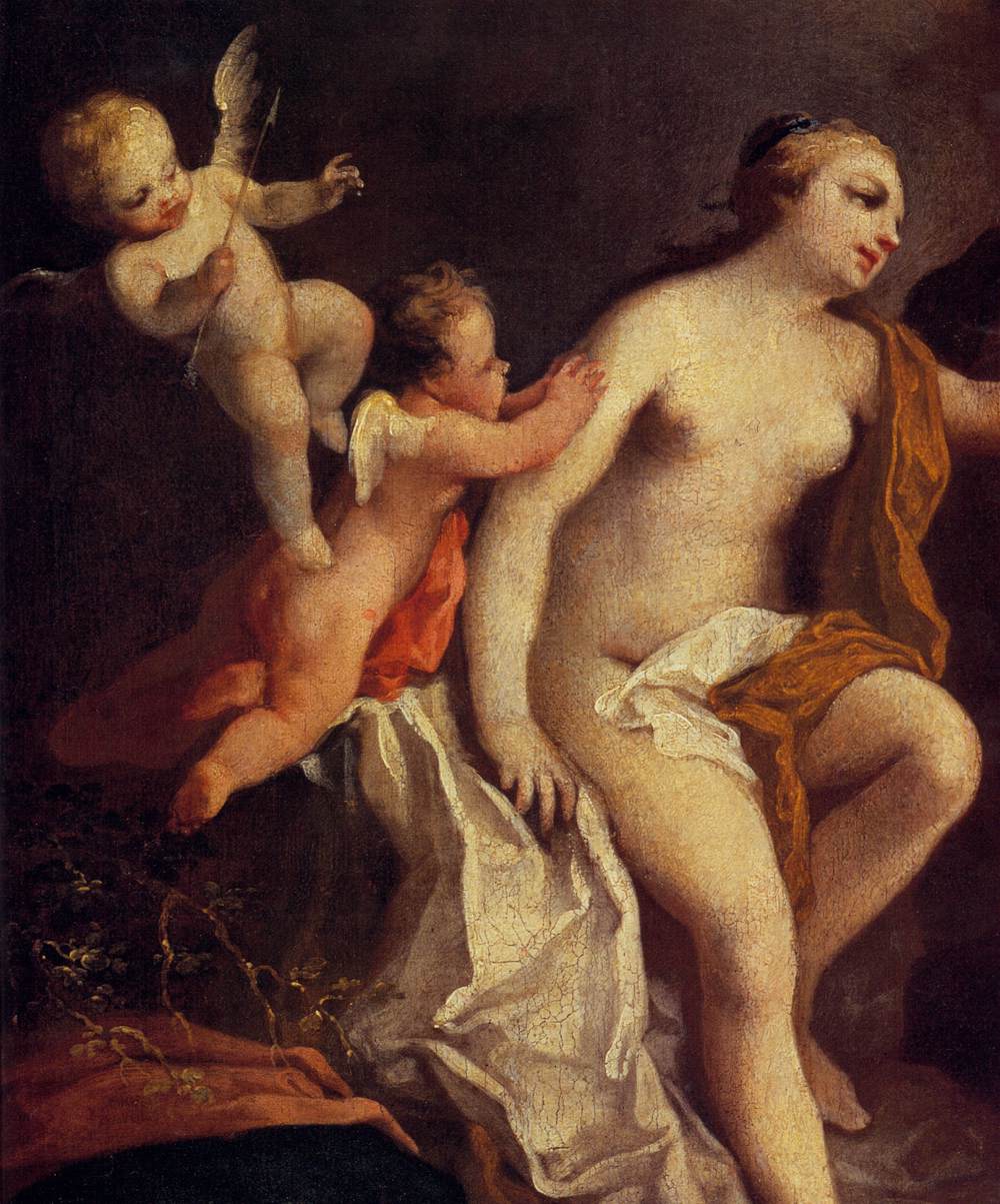 Venus and Adonis (detail) by AMIGONI, Jacopo