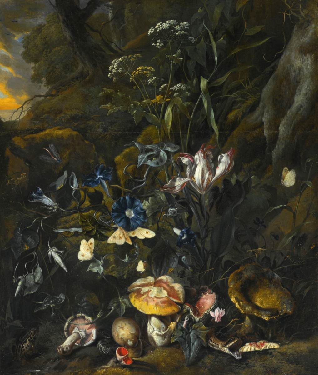 Forest Floor Still-Life by MARSEUS VAN SCHRIECK, Otto