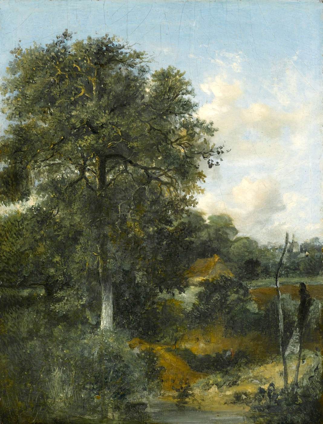 Wooded Landscape with an Oak by CROME, John