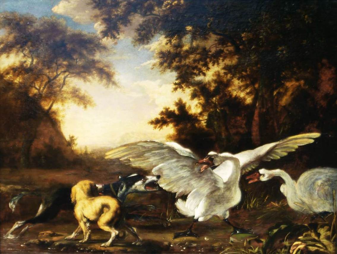 Two Dogs and Two Swans by HONDIUS, Abraham Danielsz.