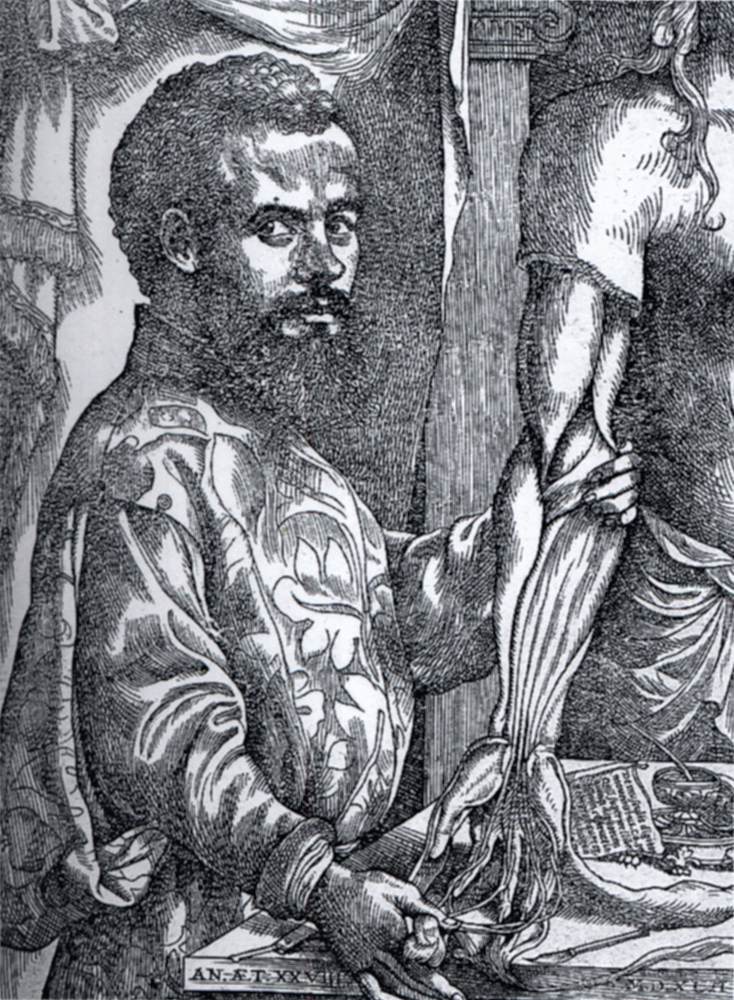 Portrait of Andreas Vesalius by VESALIUS, Andreas