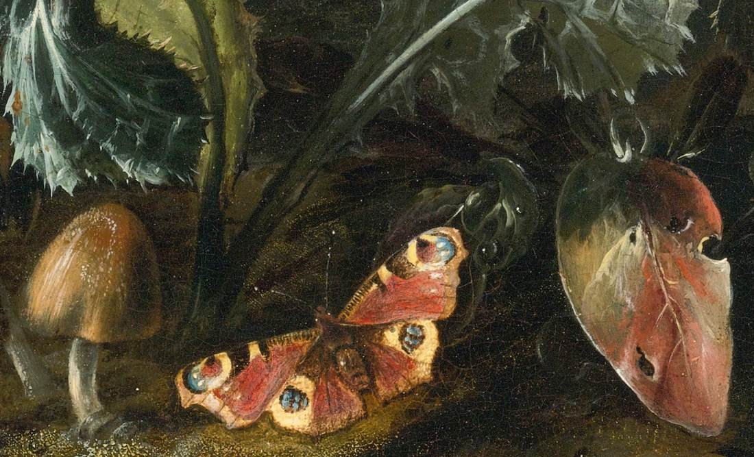 Nocturnal Forest Floor Still-Life (detail) by MARSEUS VAN SCHRIECK, Otto