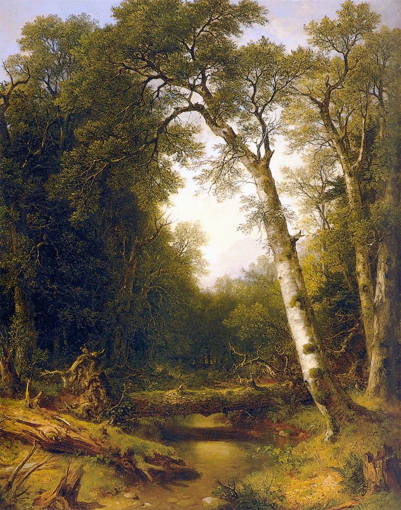 A Stream in the Wood by DURAND, Asher Brown