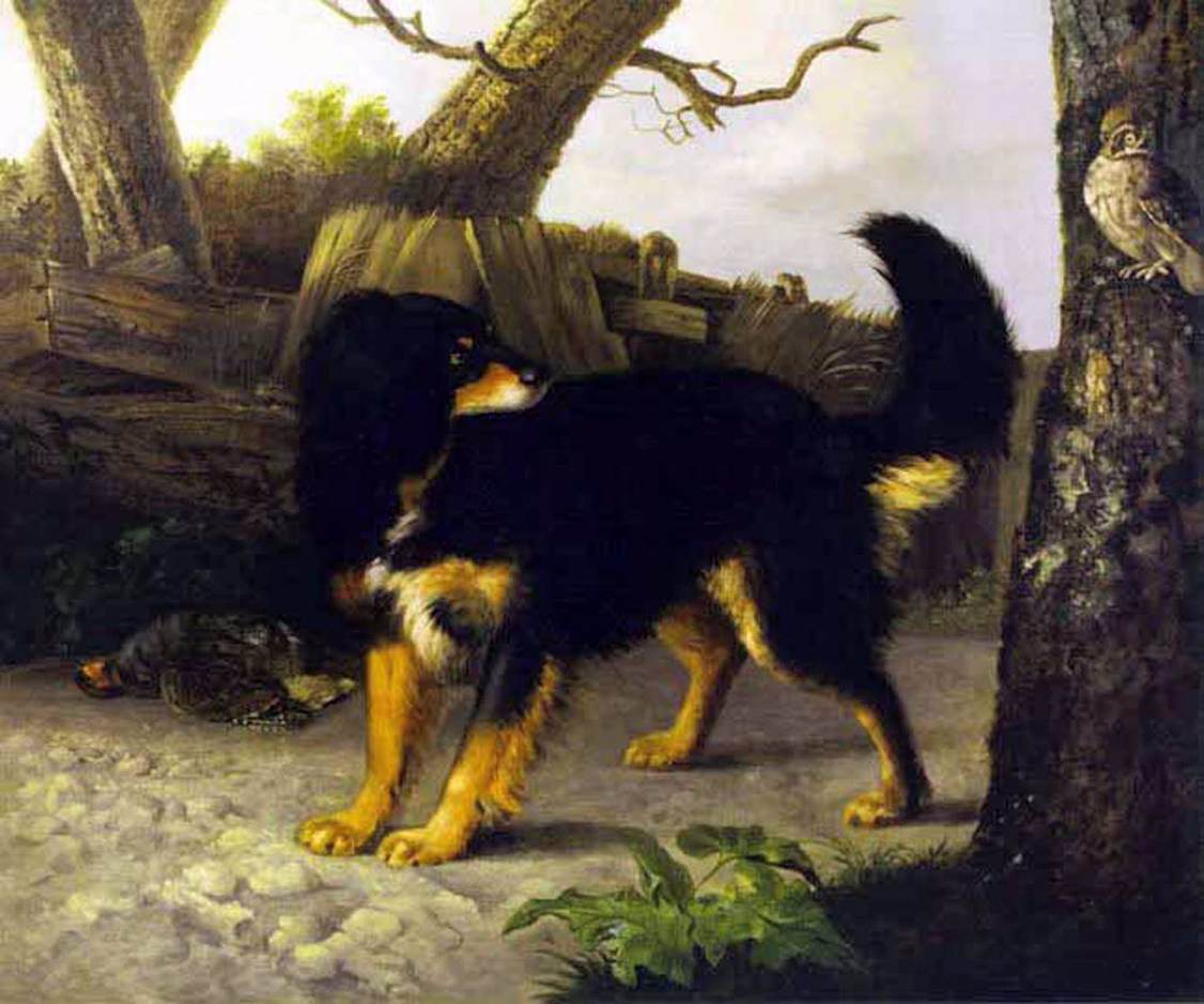 A Black and Tan Spaniel by GOOCH, Thomas