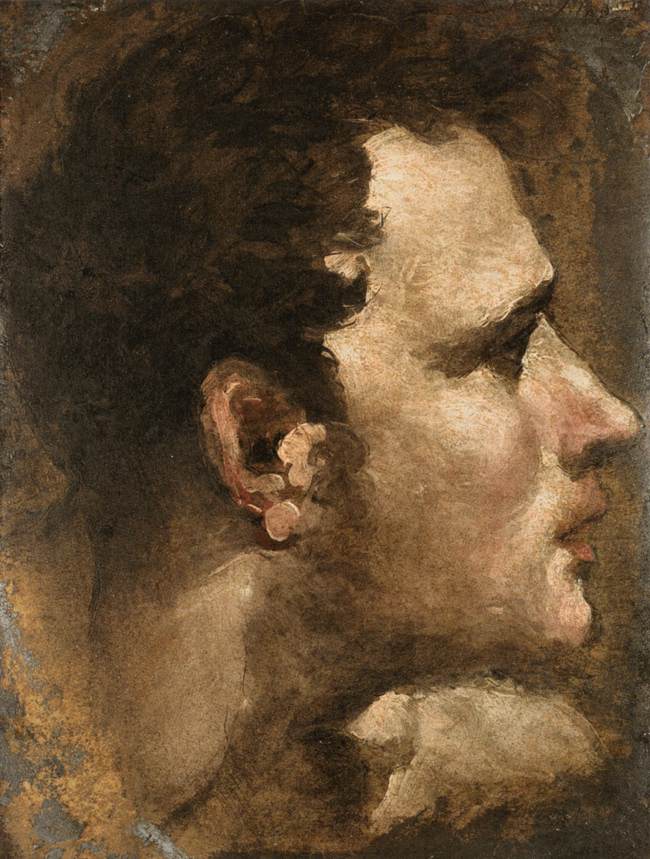 Head of a Youth Seen in Profile by BECCAFUMI, Domenico