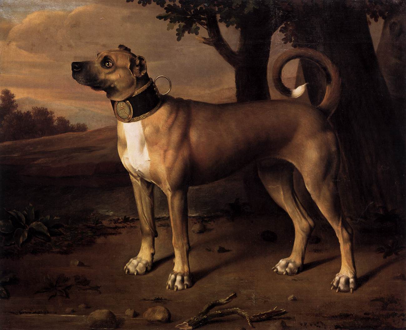 Ulmer Dogge by MERCK, Johann Christof