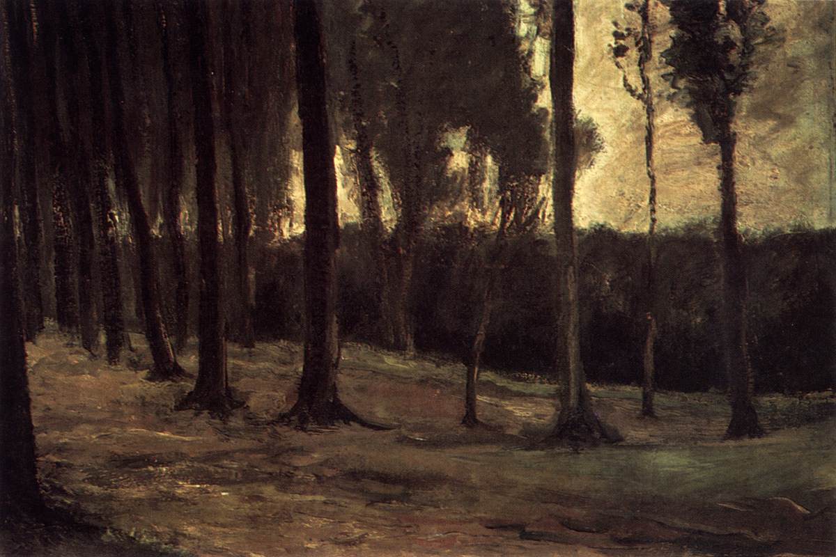 Edge of a Wood by GOGH, Vincent van